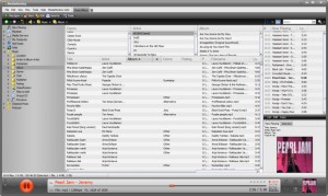 de interface van de beste software voor het beheren van film en muziek downloads