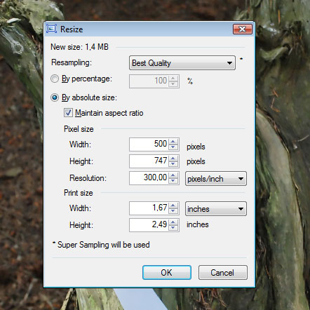 Paint.net behoudt de verhoudingen van een afbeelding als je deze verkleint