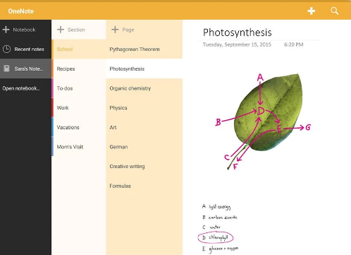 OneNote software kan gebruikt worden voor het toevoegen van tekst aan afbeeldingen.